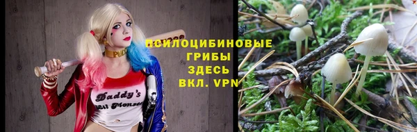 мяу мяу мука Богданович